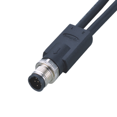M12 C-coding Male Straight Connector, Molded 2 Cables, Shielded, Contacts: 3, IP67/IP68/IP69K